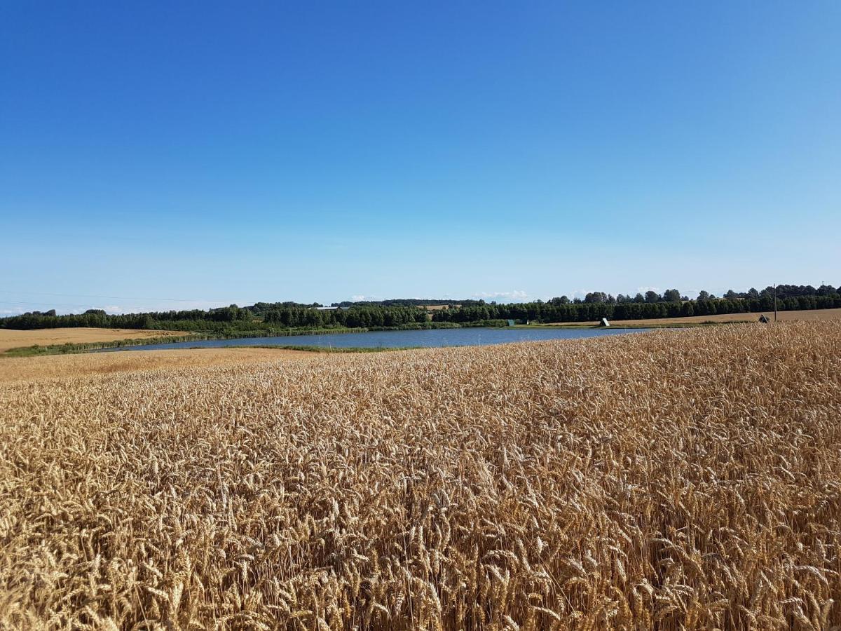 Sterla - Masuria Villa Gizycko Luaran gambar